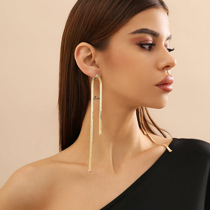 Exquisite Snake Chain Earrings