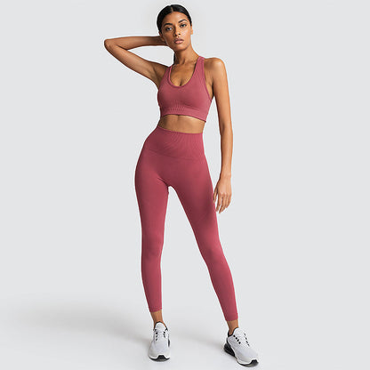 Seamless Gym Set Nylon Woman Sportswear