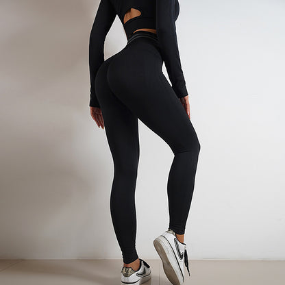 2pcs Seamless Yoga Pants  And Long Sleeve Tops Outfits