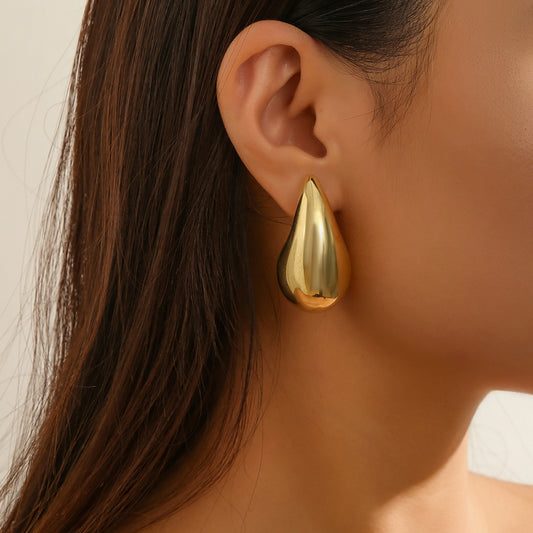 Glossy High-grade All-match Earrings